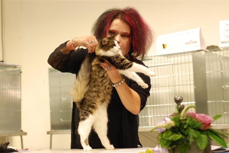 DSC_2883.JPG - Kristiina Rauto checking Madame's tail length.