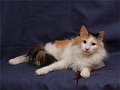 DSC_0132_200602