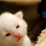 Hello world!